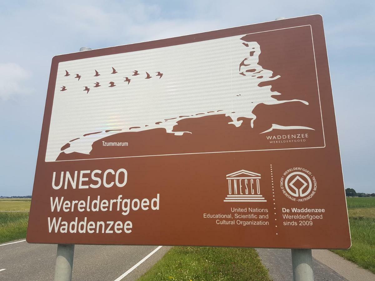 Wattengebiet Entdeckungsreise Tzummarum Exterior foto